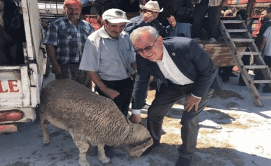 Başkan Helvacıoğlu Canlı Hayvan Pazarı'nı Ziyaret Etti