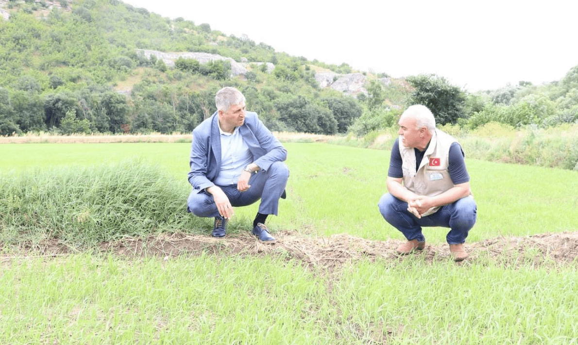 Müdür Bayazıt Çeltik Arazilerini İnceledi