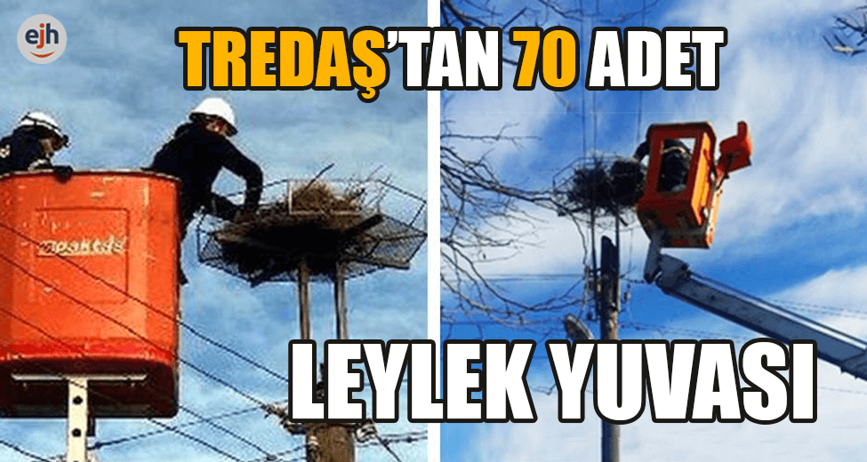 TREDAŞ'tan Elektrik Direklerine Leylek Yuvası