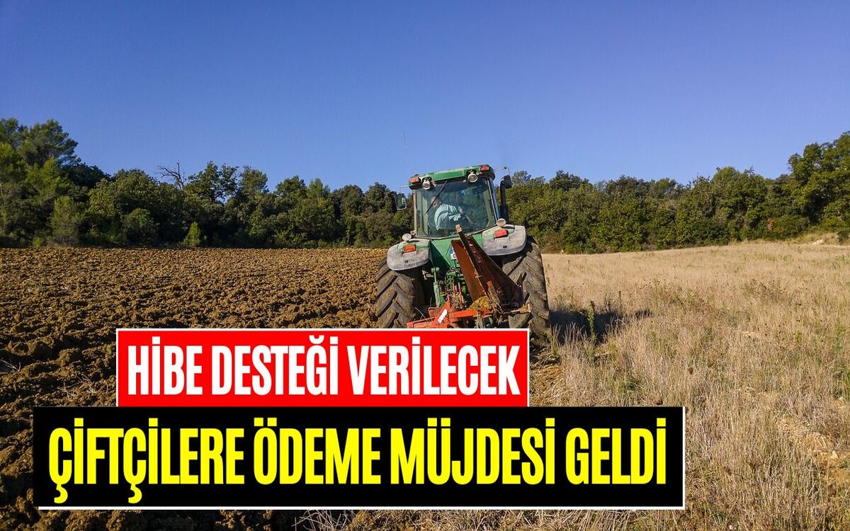 3 Kentte Çiftçilere Hibe Desteği! Tarım ve Orman Bakanlığı Açıkladı