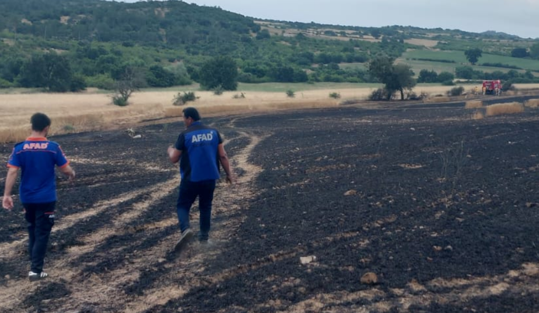 Kırklareli'nde Buğday Tarlasında Korkutan Yangın