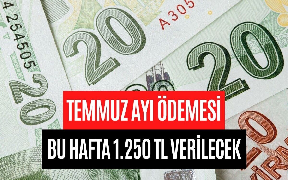 Ödemeler Bugün Hesaplara Yatıyor! TC Kimlik Numarasının Son Rakamına Göre Ödenecek