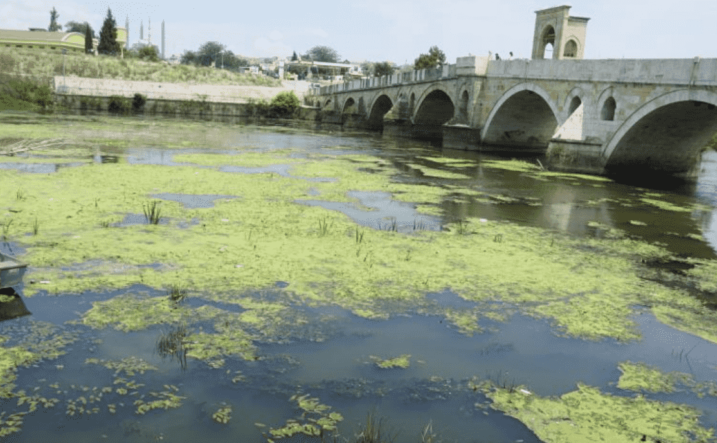 Tunca Nehri'ne Atılan Çöpler Kirliliğe Neden Oldu