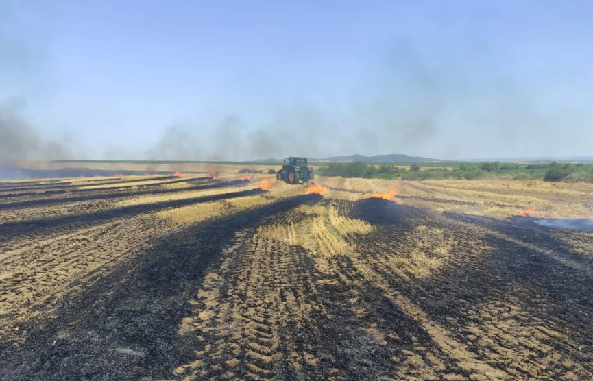 Keşan'daki Buğday Ekili Tarlalarda Korkutan Yangın