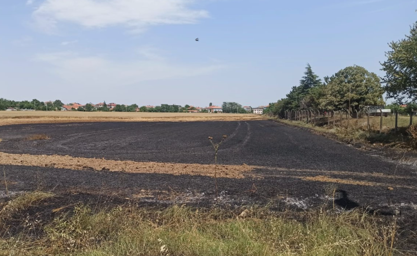 Kırklareli'nde Buğday Tarlasında Yangın Çıktı