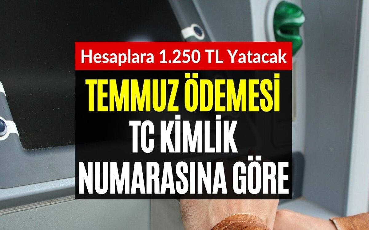 Hesaplarını Kontrol Etmeyi Unutmayın! IBAN'a 1250 TL Yatırıldı