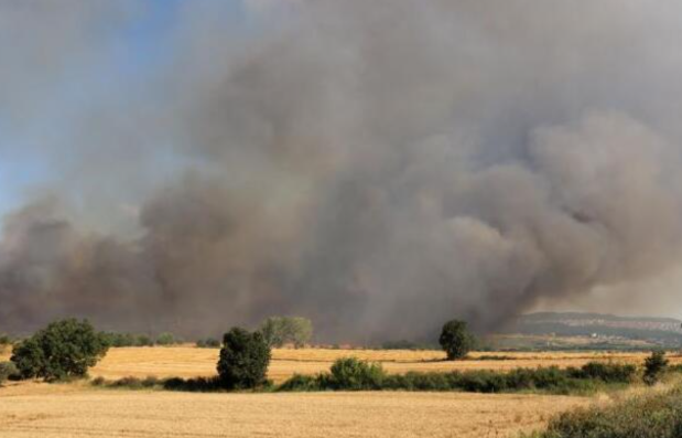 Keşan'da Buğday Tarlasında Yangın Çıktı