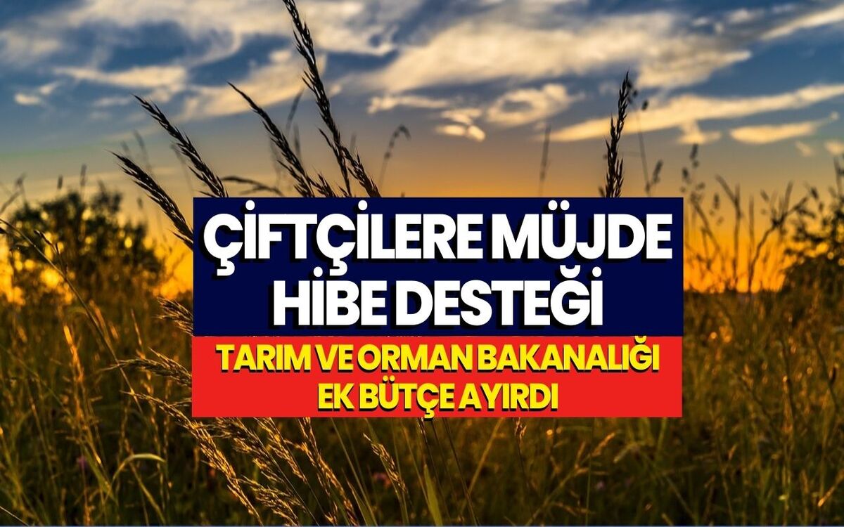 Tarım ve Orman Bakanlığı Temmuz Ayında Müjdeyi Verdi! 75 Milyon TL Hibe Verilecek