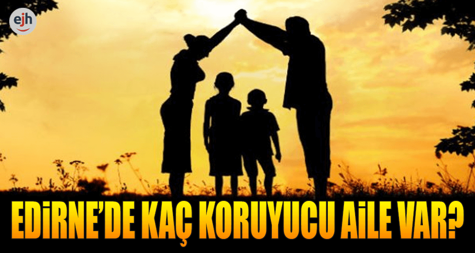 Edirne'de Kaç Koruyucu Aile Var?