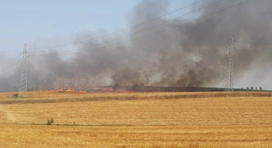 Tekirdağ'da 40 Dönüm Buğday Ekili Alan Yandı