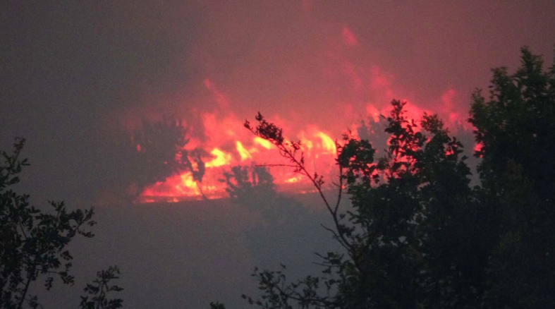 Çanakkale'deki Orman Yangınına İlişkin Açıklama