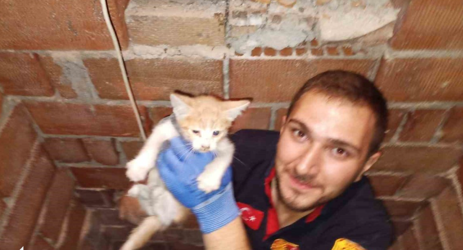 Havalandırma Boşluğuna Düşen Kedi Yavrusunu İtfaiye Kurtardı