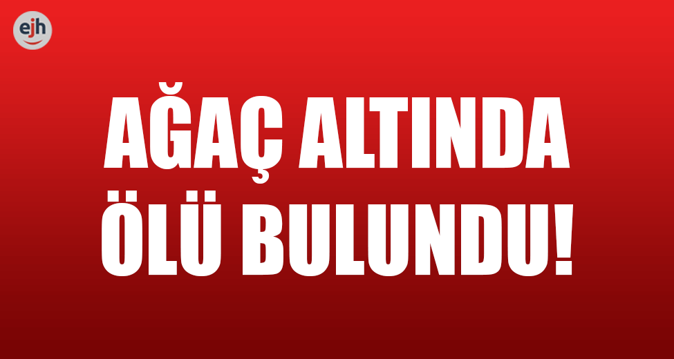 Ağaç Altında Ölü Bulundu