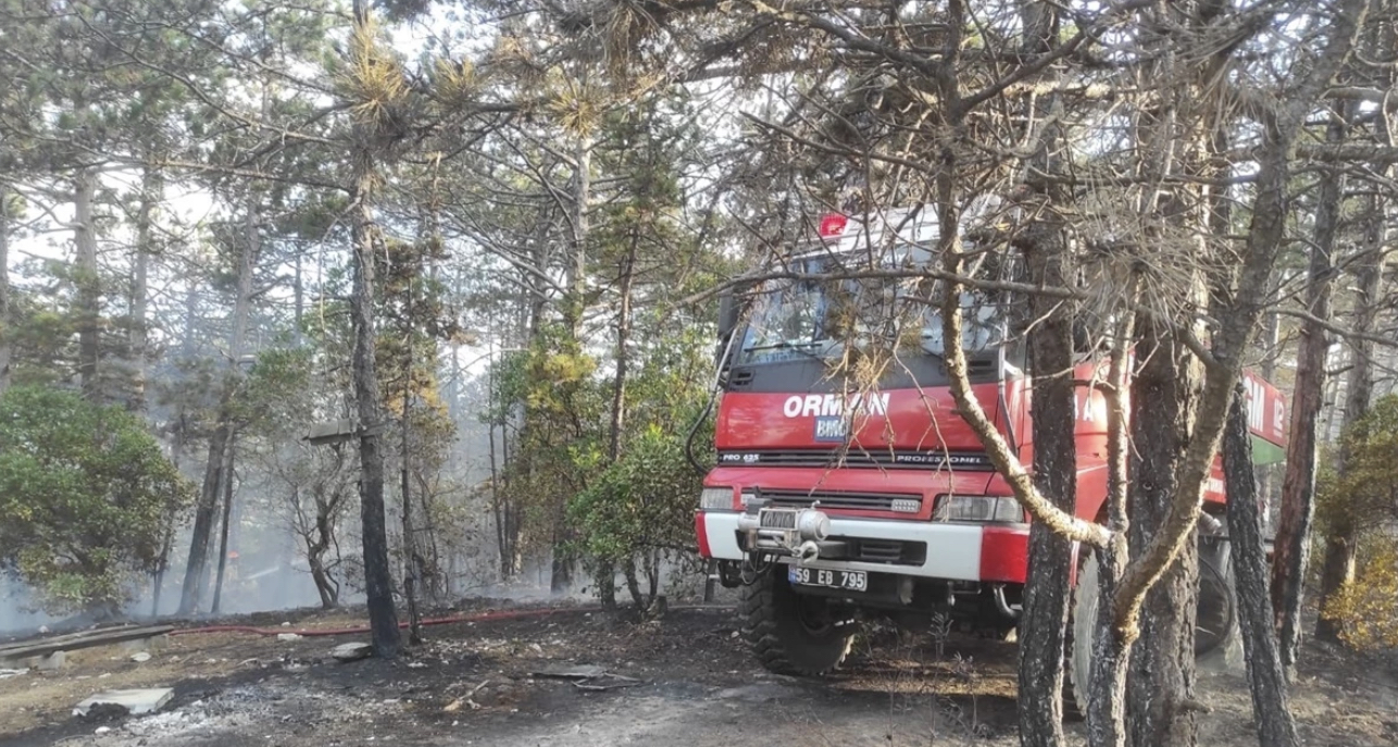 Tekirdağ'daki Ormanlık Alanda Yangın Çıktı