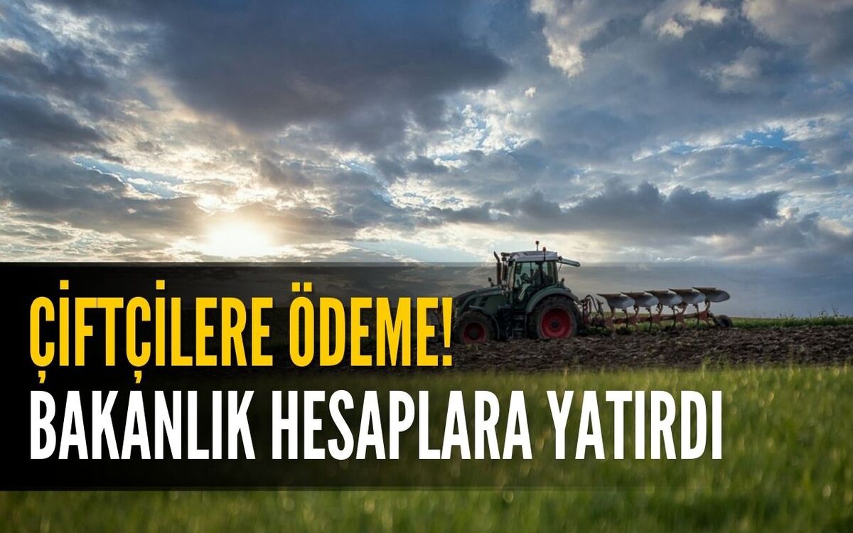 Tarım ve Orman Bakanlığı Hesaplara Aktardı! Üç Farklı Tarımsal Destek Ödemesi Müjdesi