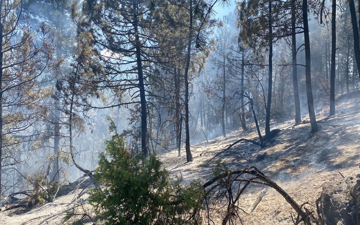 Bursa Yenişehir'deki Orman Yangını Havadan ve Karadan Müdahaleyle Söndürüldü