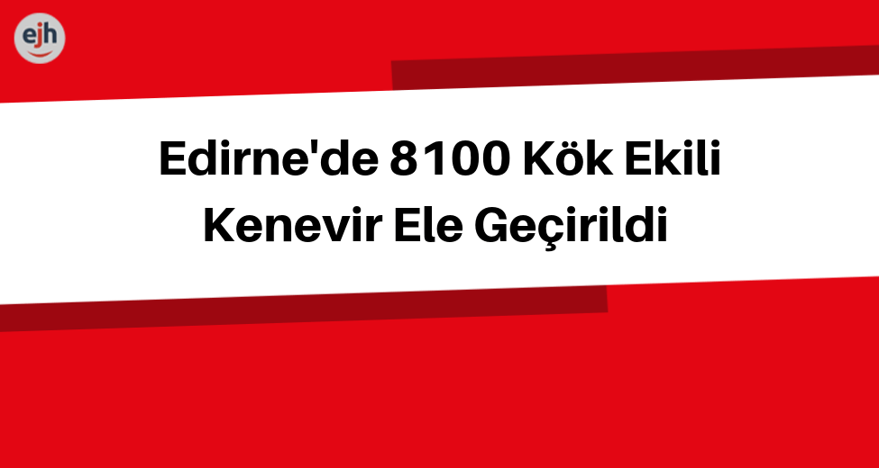 Edirne'de 8100 Kök Ekili Kenevir Ele Geçirildi