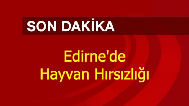 Edirne'de Hayvan Hırsızlığı