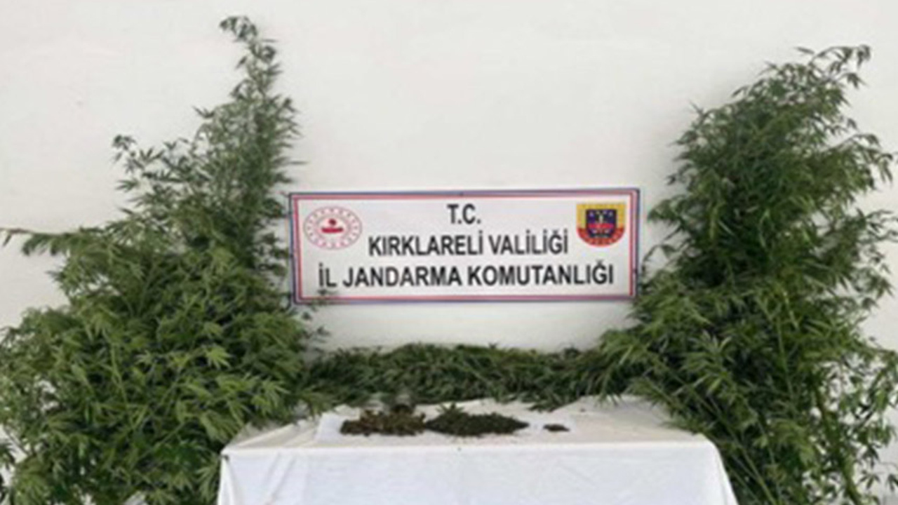 Kırklareli'nde Kaçakçılık Operasyonları Gerçekleştirildi