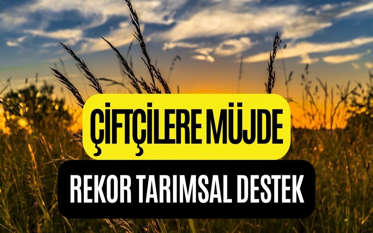 Çiftçilere Ödeme Müjdesi Verildi! Ekim 2023 Tarımsal Destek Ödemeleri Duyuruldu