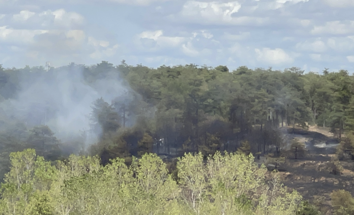 Tekirdağ'daki Ormanlık Alanda Yangın Çıktı