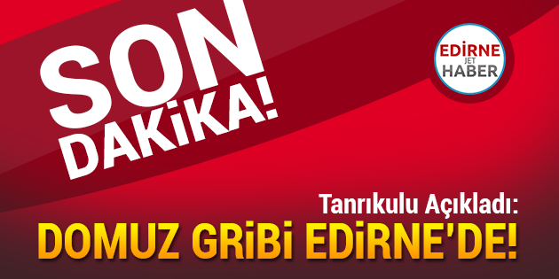 Domuz Gribi Edirne'de!