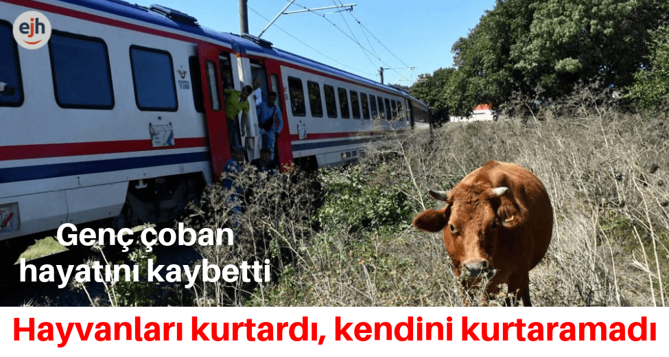 Trenin Çarptığı Çoban Öldü