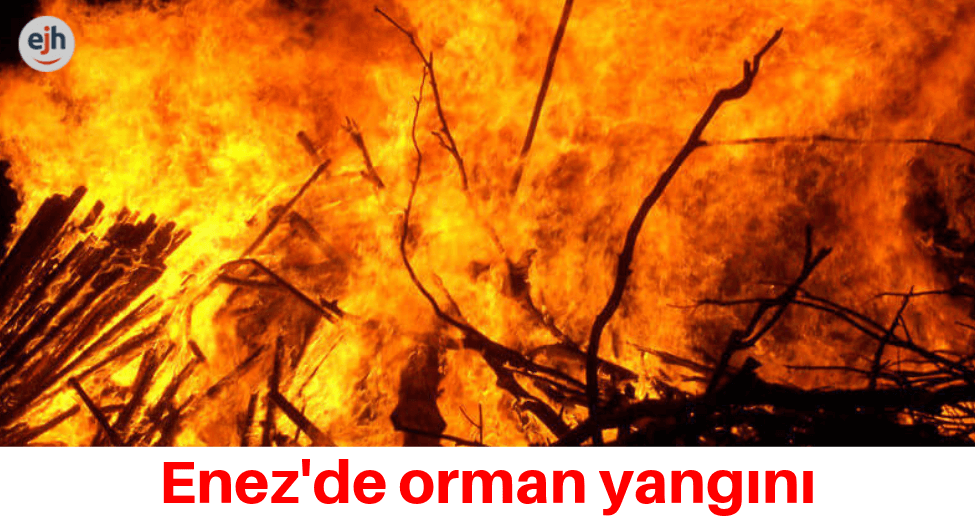 Enez'de Orman Yangını