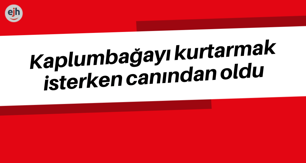 Kaplumbağayı Kurtarmak İsterken Canından Oldu