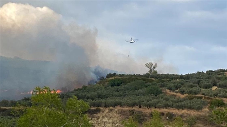 Tekirdağ'da Makilik Alanda Yangın Çıktı