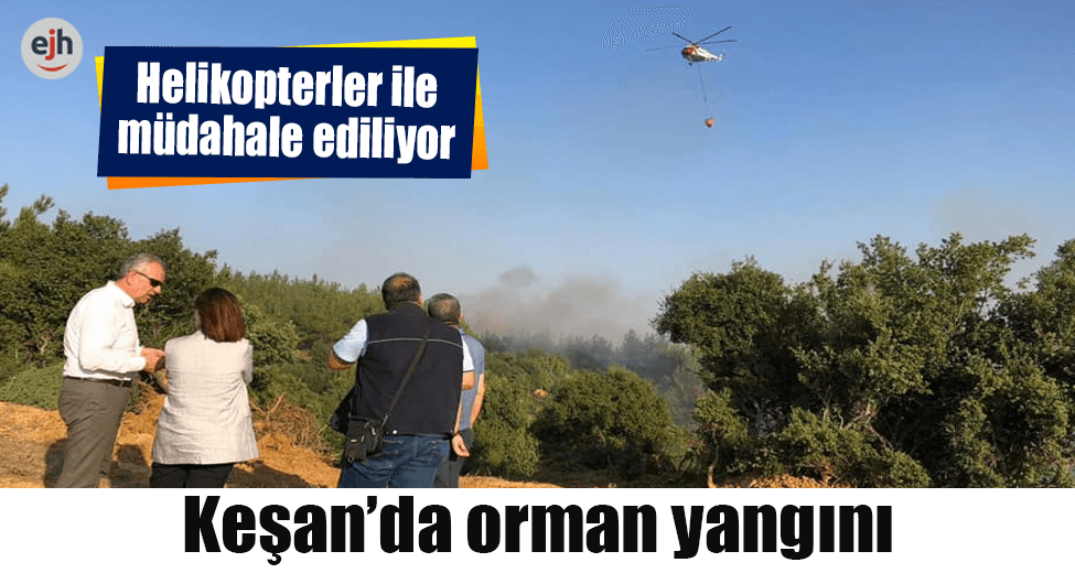 Keşan'da Orman Yangını