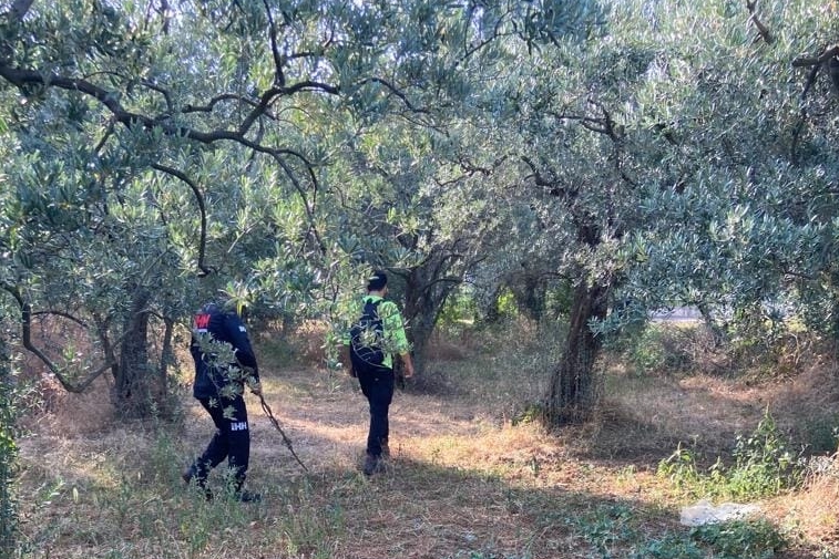 Kaybolan Kadın Öğretmen Her Yerde Aranıyor