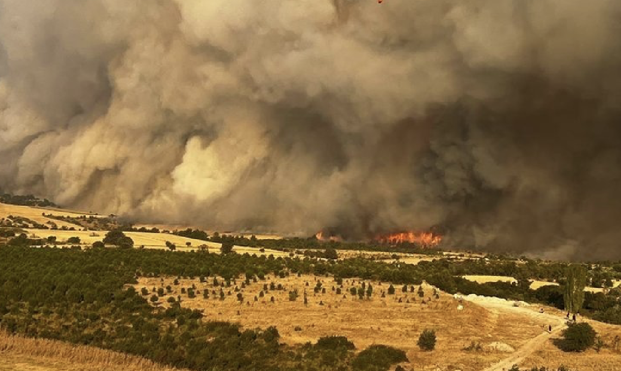 Çanakkale'deki Köyde Yangından Etkilenen Hayvanlar Kurtarıldı