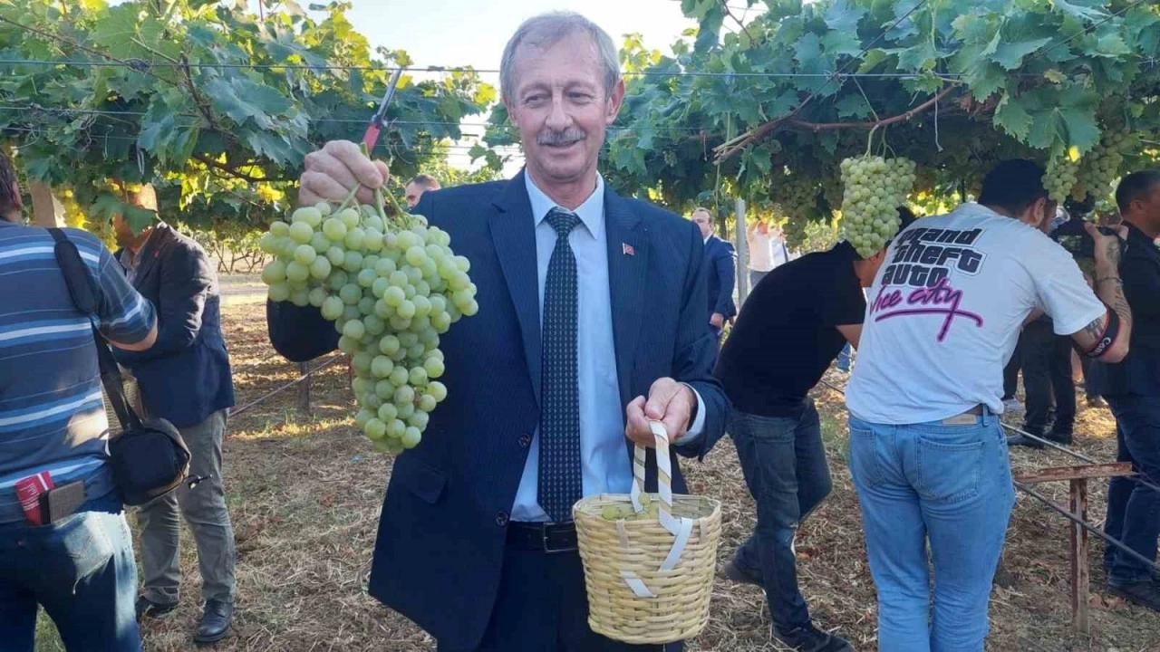 Tekirdağ'da Bağ Bozumu Şenliği Yapıldı