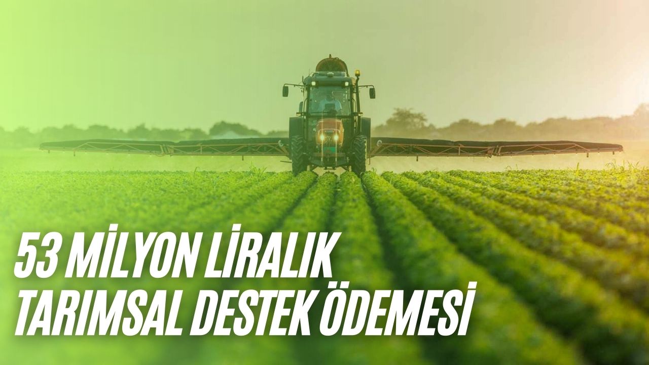 Çiftçilere Tam 53 Milyon TL Hibe! Ağustosun Son Tarımsal Destek Ödemesi