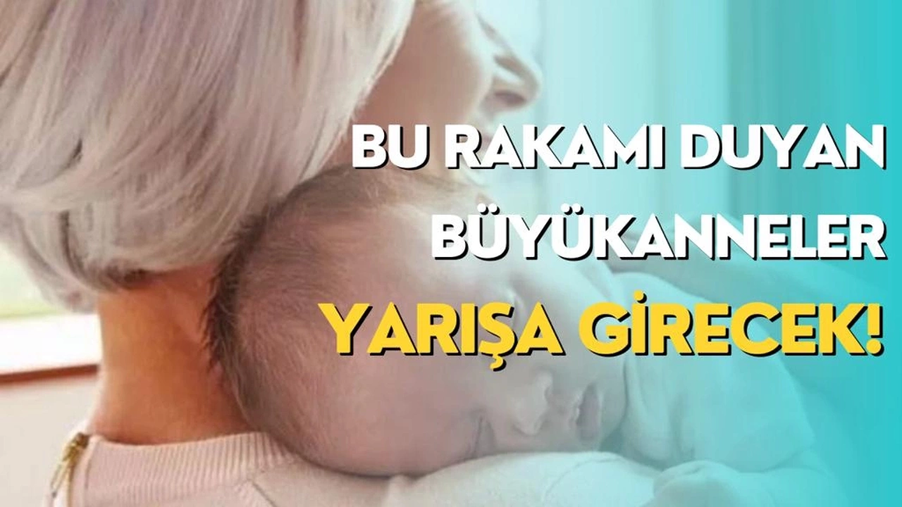 Torununa Bakanlar Köşeyi Döndü! Büyükannelere Maaş Bağlanıyor