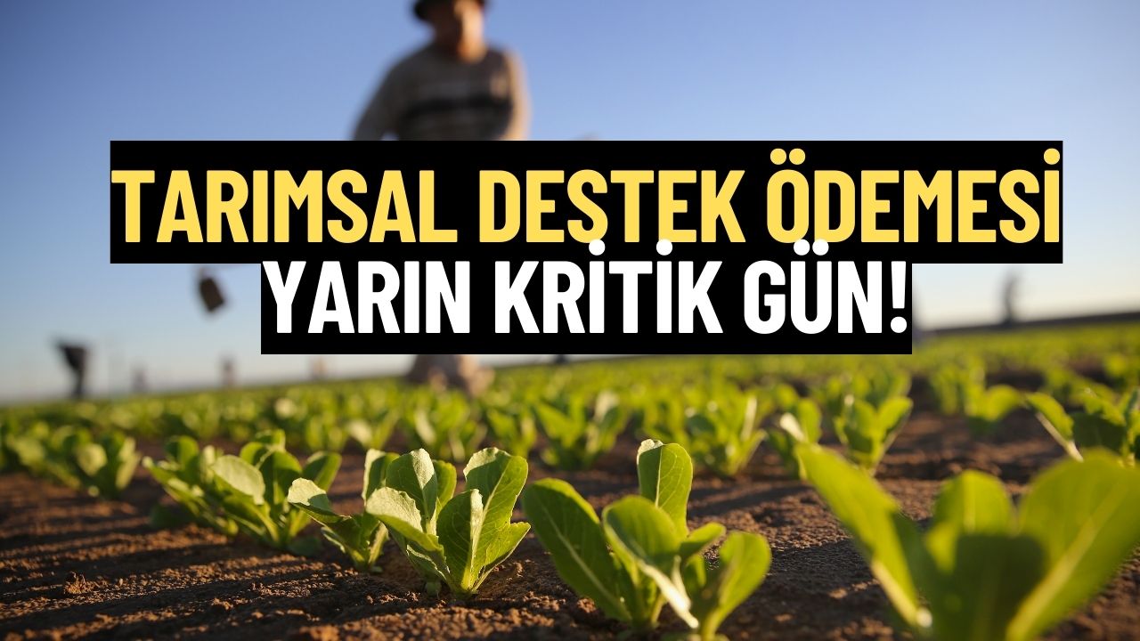 Bu Kaydı Yaptırmayan Tarımsal Destek Ödemesi Alamayacak! Yarın İtibarıyla Başlıyor