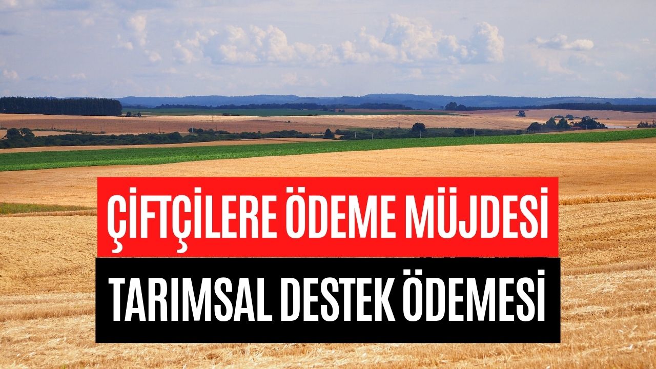 Tarım Bakanlığı Açıklama Yaptı! Çiftçilere Yüzde 75 Hibe Desteği Müjdesi