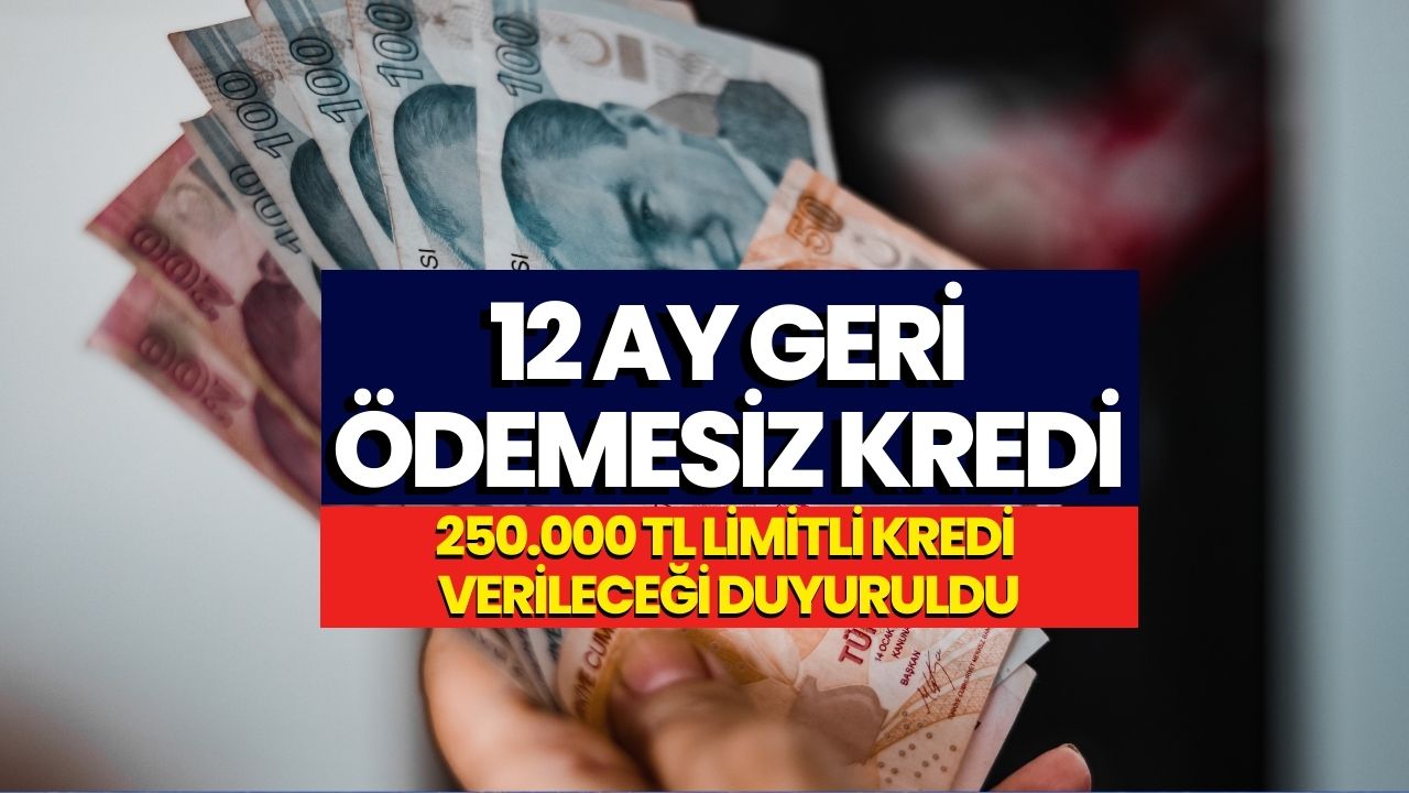 En Az İlkokul Mezunları Başvurabilir! 250 Bin TL Kredi 12 Ay Geri Ödemesiz Veriliyor!