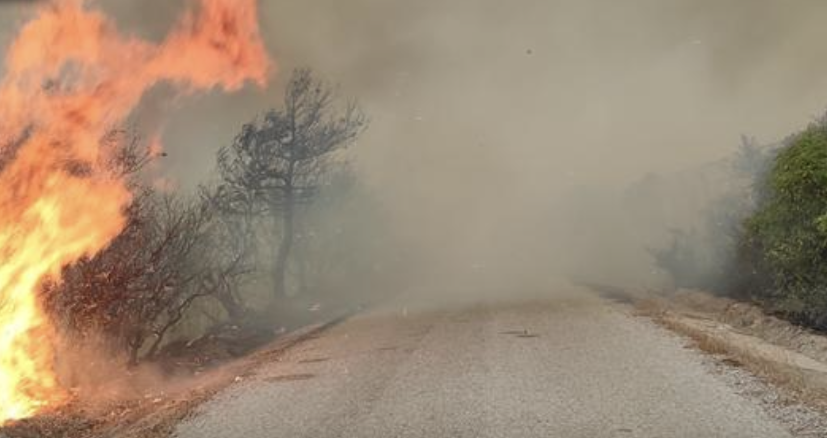 Çanakkale'de Kara Avcılığı Yasaklandı