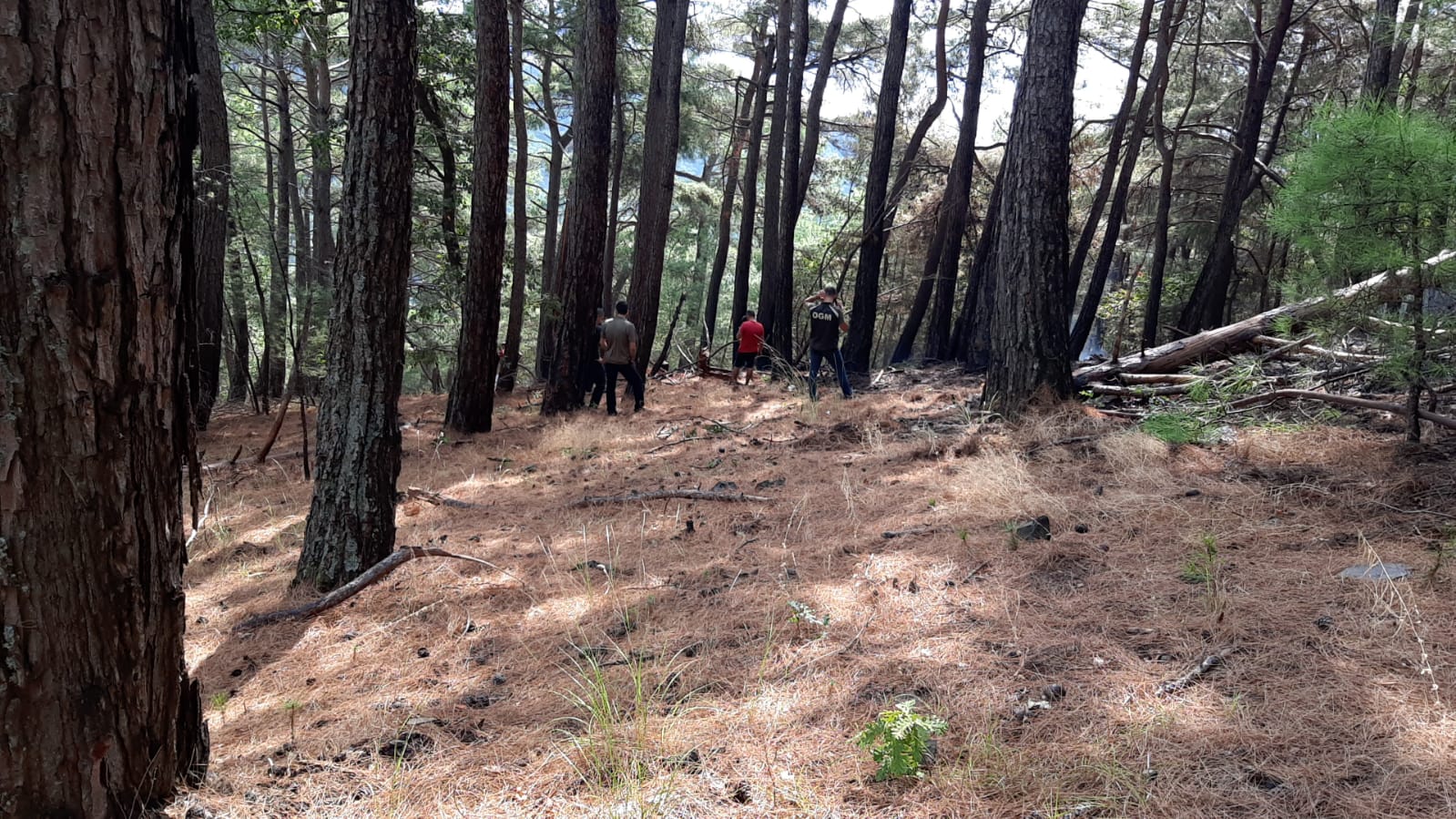 Kazdağları'nda Orman Yangını Çıktı