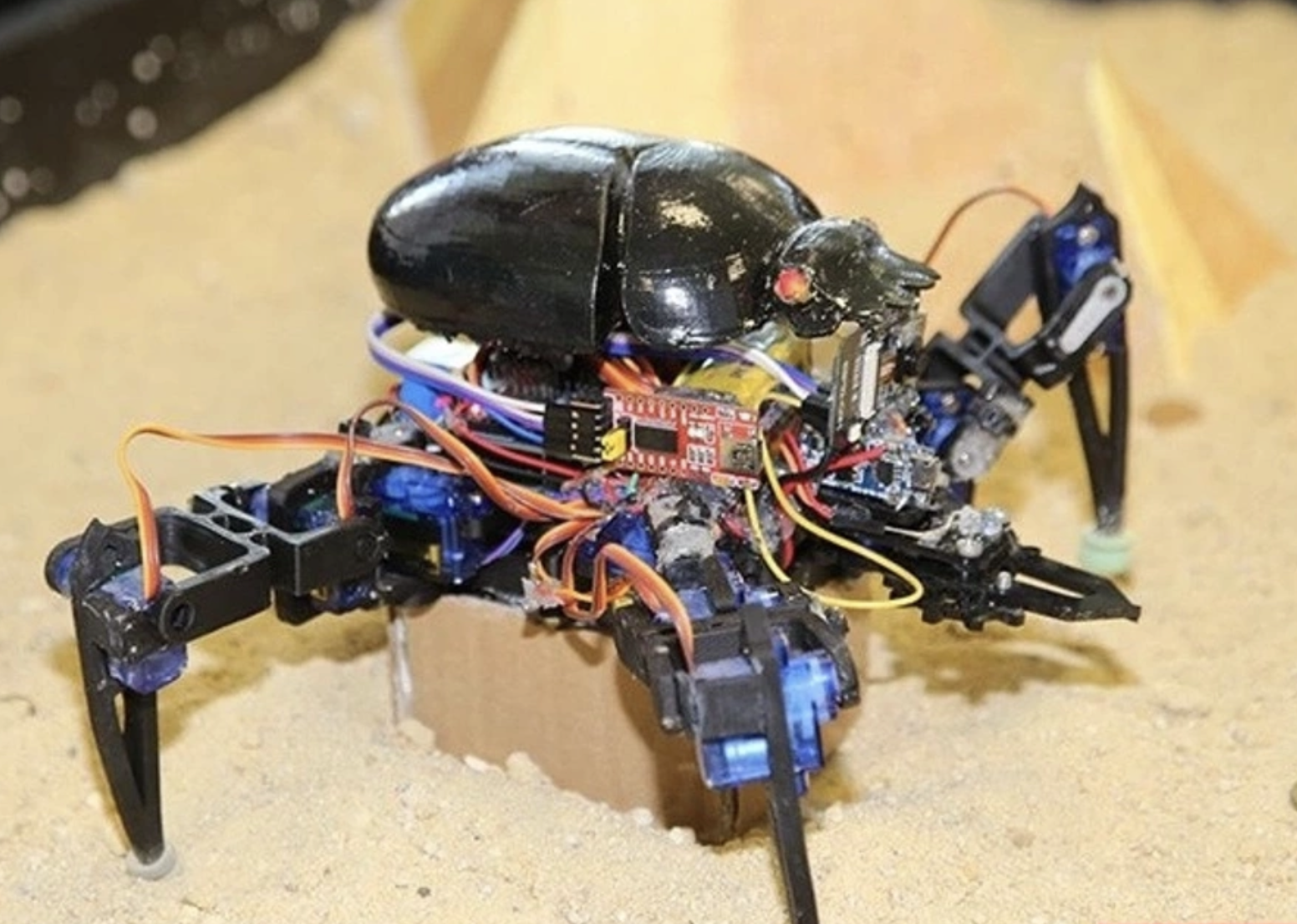 15. Uluslararası Meb Robot Yarışması Başladı