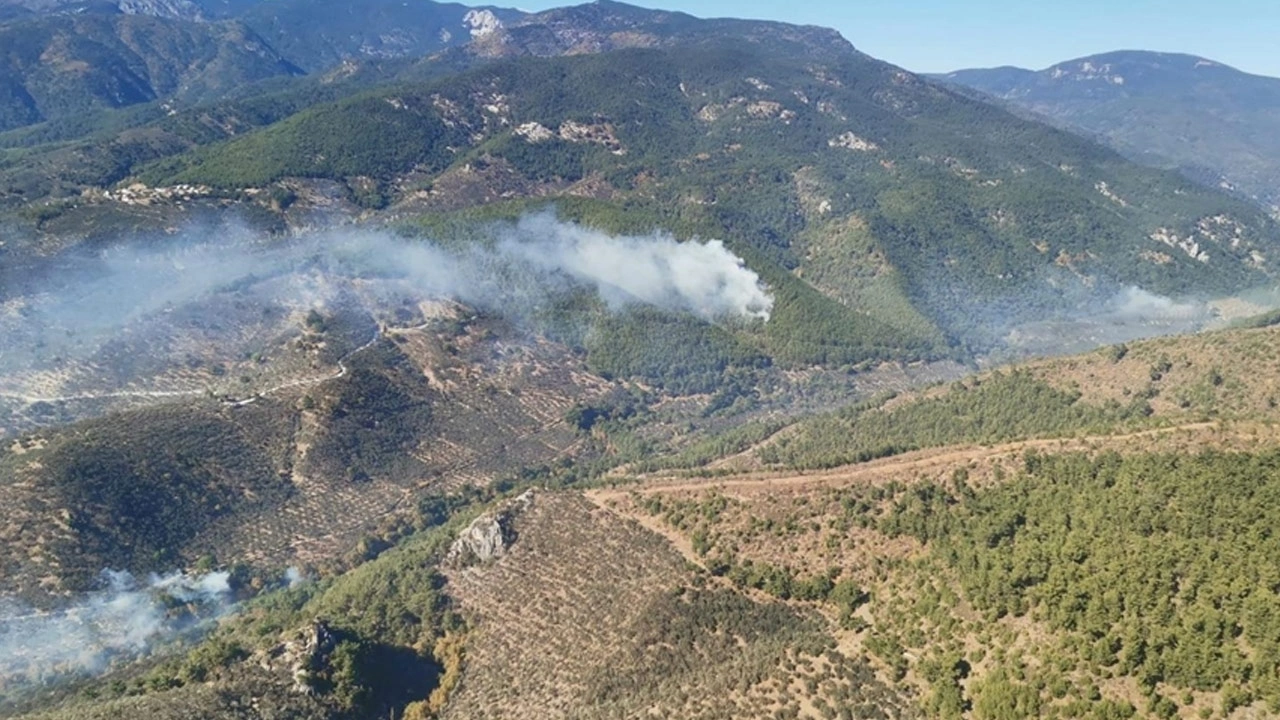 Kazdağları'nda Orman Yangını Çıktı