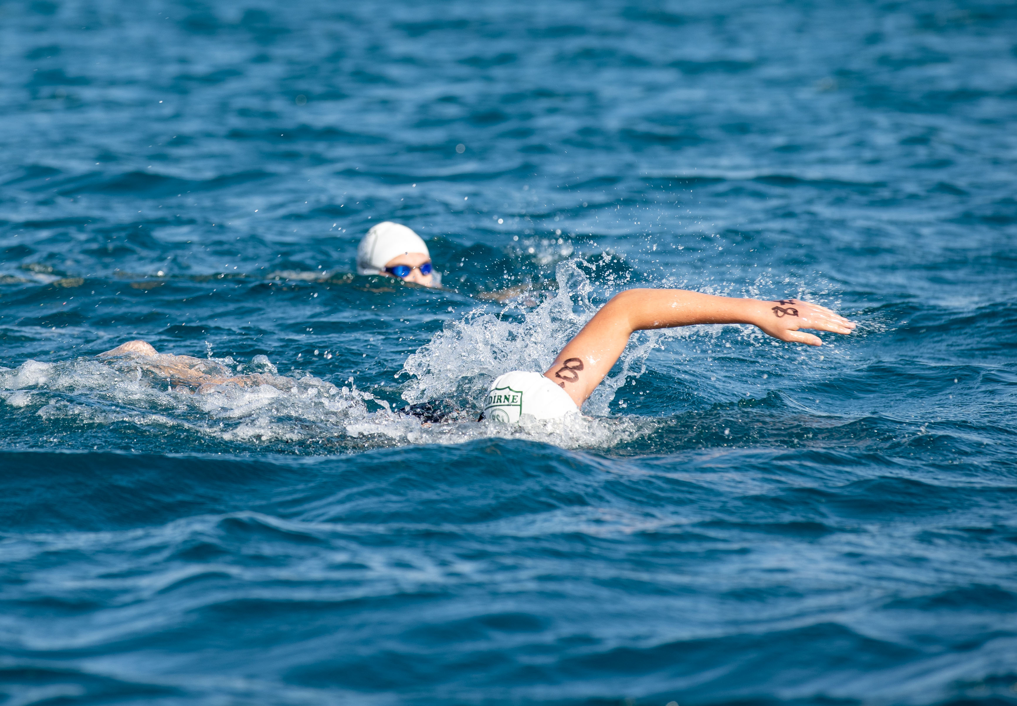 Edirne'de Türkiye Açık Su Yüzme Şampiyonası Başladı
