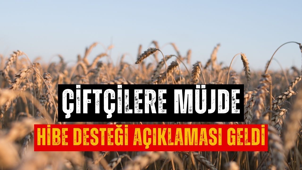 Çiftçilerin Beklediği Müjde Geldi! Hibe Desteği Müjdesi Eylül Ayında Verildi