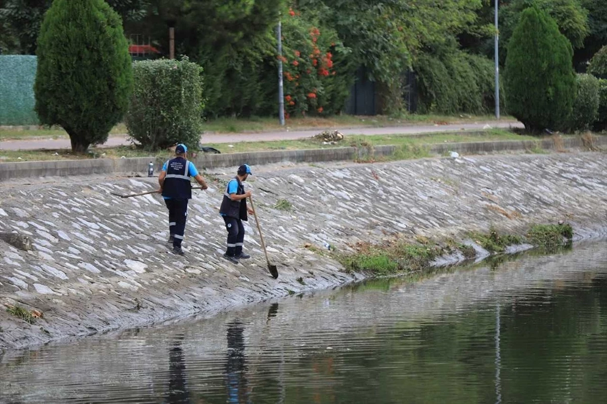 Çark Deresi Ve Çevresi Temizleniyor