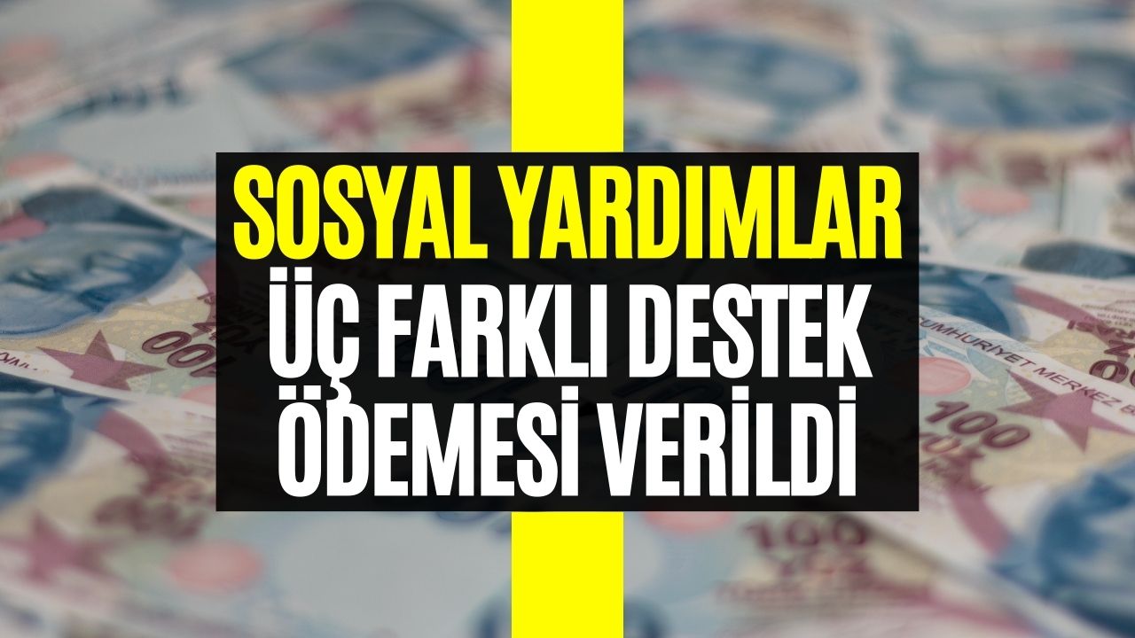 Aile ve Sosyal Hizmetler Bakanlığı Hesaplara Yatırdı! Üç Farklı Destek Ödemesi Verildi