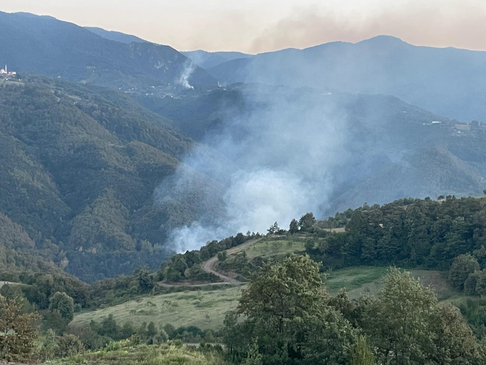 Kocaeli'deki Orman Yangını Söndürüldü