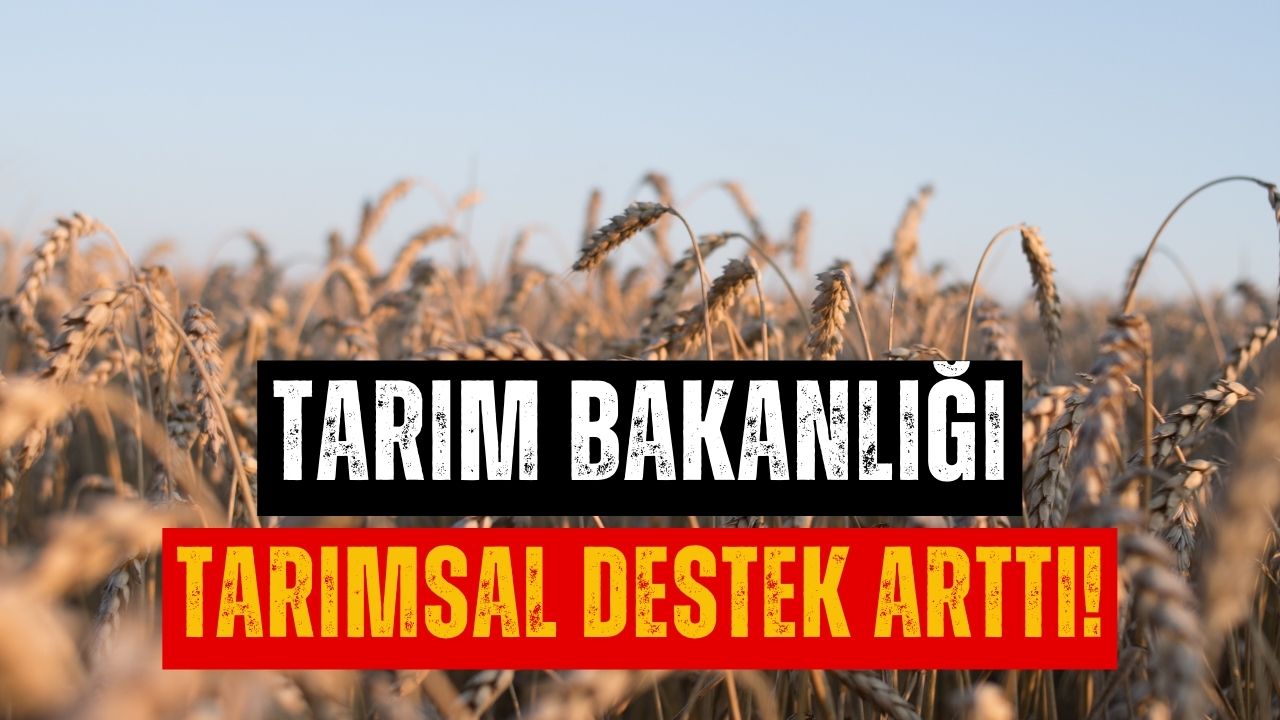 Yüzde 150 Zam İle 30 Bin TL'ye Yükseldi! Tarım Bakanlığı Müjdeyi Açıkladı