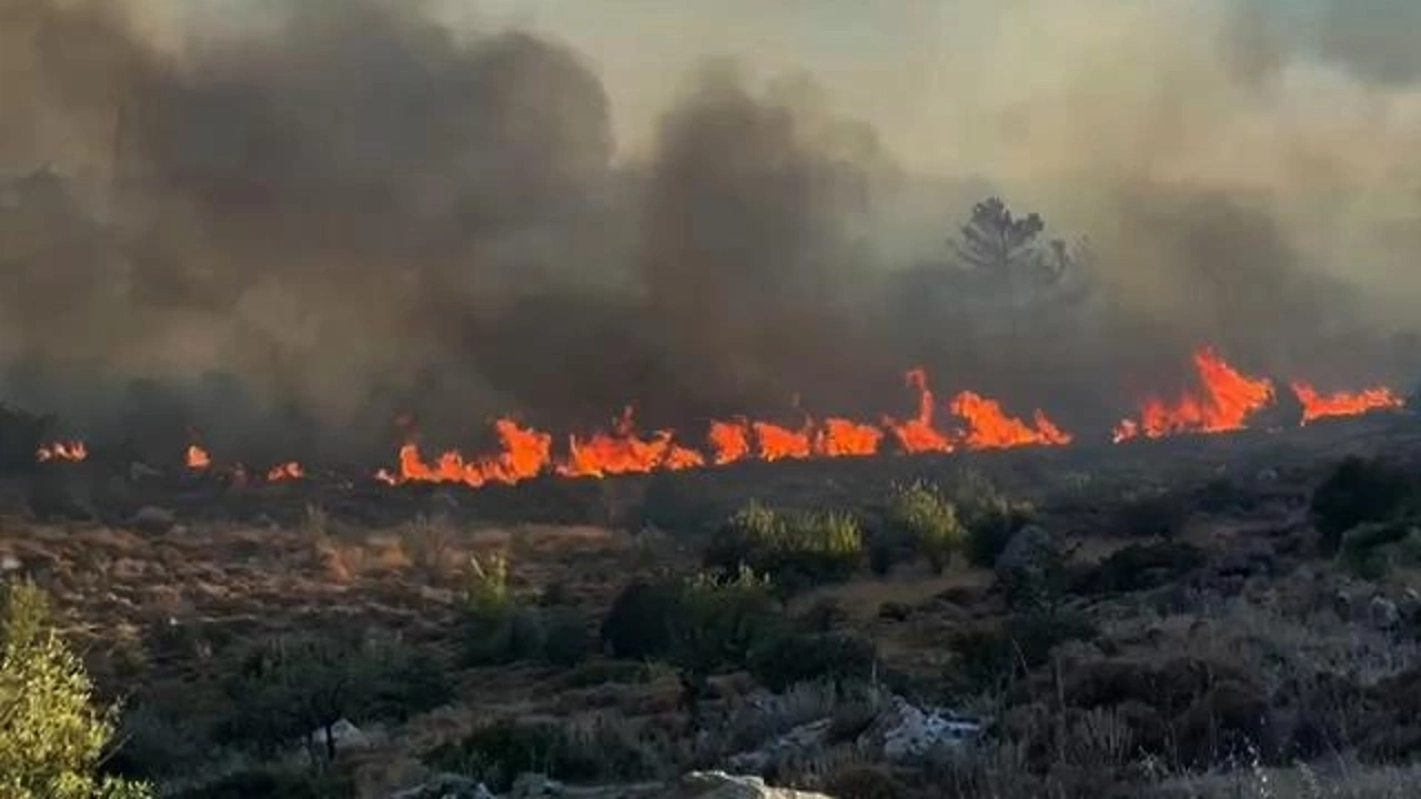 Makilik Alanda Yangın Çıktı